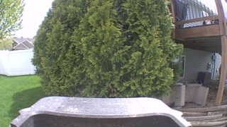 Unidentified clip