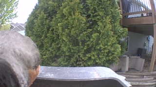 Unidentified clip