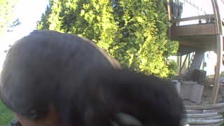 Unidentified clip