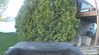 Unidentified clip