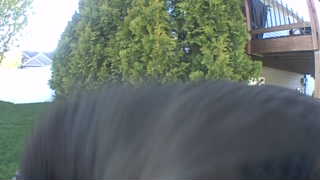 Unidentified clip