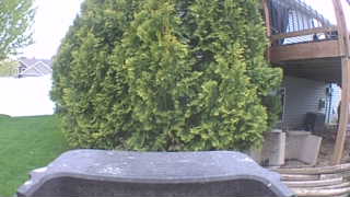 Unidentified clip