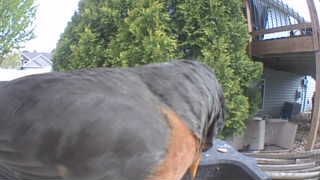 Unidentified clip