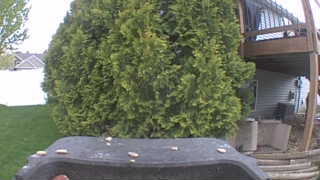 Unidentified clip