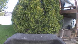 Unidentified clip