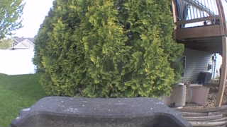 Unidentified clip