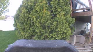 Unidentified clip