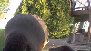 Unidentified clip