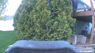 Unidentified clip
