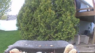 Unidentified clip