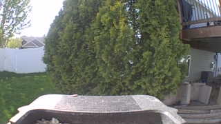 Unidentified clip
