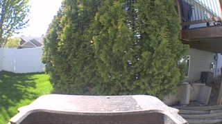 Unidentified clip
