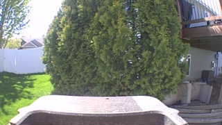 Unidentified clip