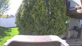 Unidentified clip