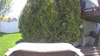 Unidentified clip
