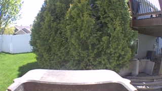 Unidentified clip