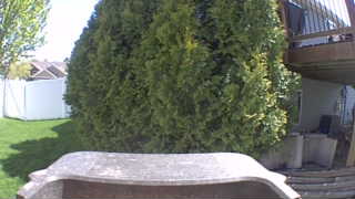Unidentified clip