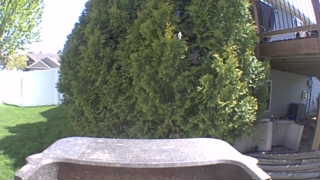 Unidentified clip
