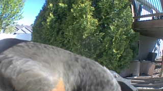 Unidentified clip