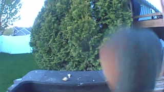 Unidentified clip