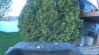 Unidentified clip