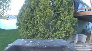 Unidentified clip