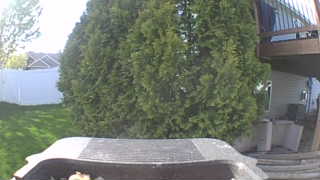 Unidentified clip