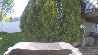 Unidentified clip