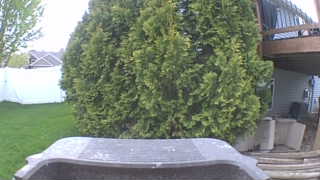 Unidentified clip
