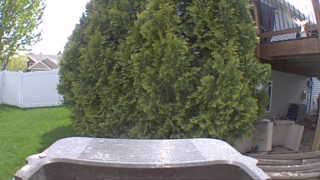 Unidentified clip