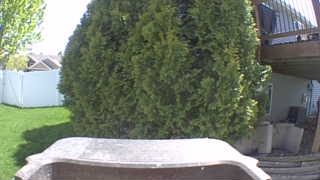 Unidentified clip