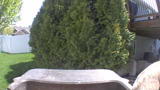 Unidentified clip
