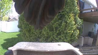 Unidentified clip