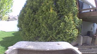 Unidentified clip