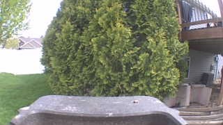 Unidentified clip