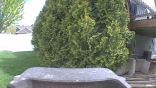 Unidentified clip