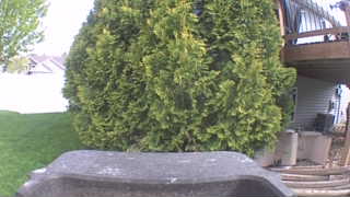 Unidentified clip