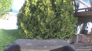 Unidentified clip