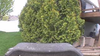 Unidentified clip
