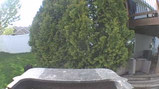 Unidentified clip