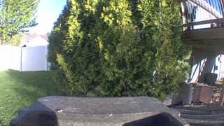 Unidentified clip