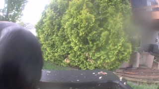 Unidentified clip