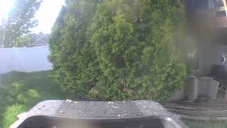 Unidentified clip