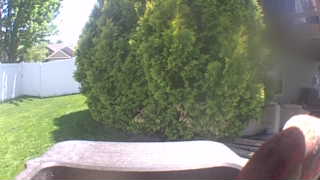 Unidentified clip