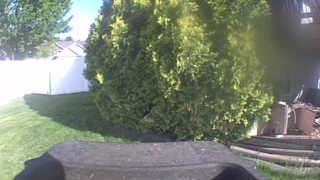 Unidentified clip