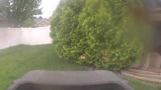 Unidentified clip