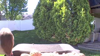 house finch