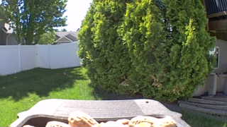 Unidentified clip