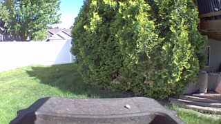 Unidentified clip