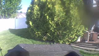 Unidentified clip